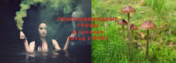 МДПВ Нягань
