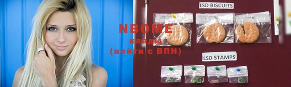 стафф Новодвинск
