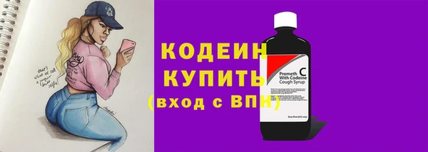 винт Няндома