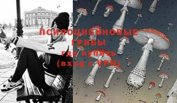 ГАЛЛЮЦИНОГЕННЫЕ ГРИБЫ Нязепетровск