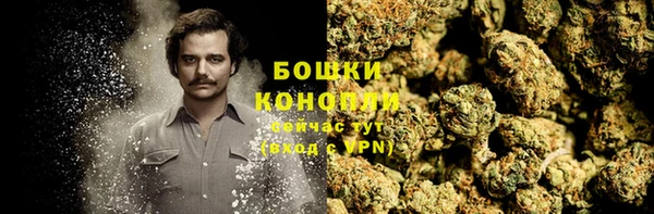 винт Няндома