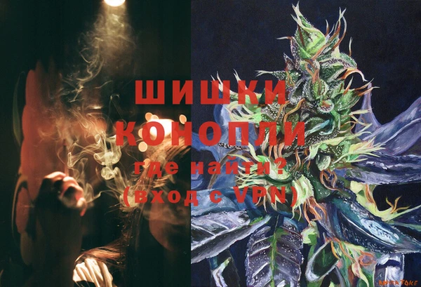 винт Няндома