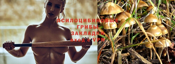 МДПВ Нягань