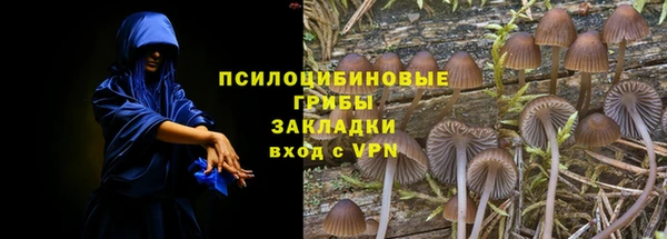 МДПВ Нягань