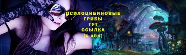 винт Няндома