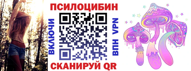 mega зеркало где продают наркотики Нелидово Псилоцибиновые грибы ЛСД